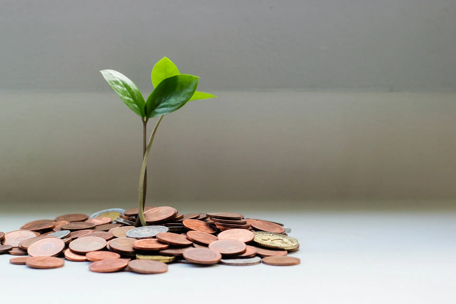 Ahorro e inversión